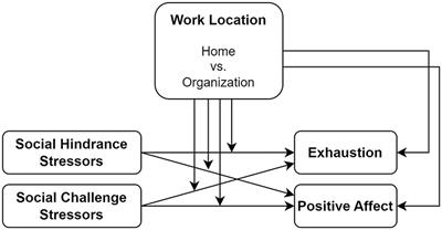 Sometimes here, sometimes there—Differential effects of social challenge and hindrance stressors depending on the work location